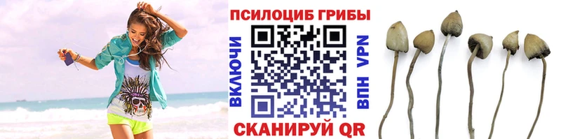 Купить закладки  Кунгур  Псилоцибиновые грибы ЛСД 